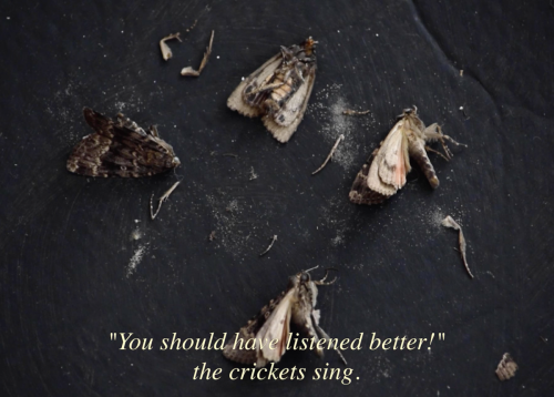 Schermafbeelding-2024-10-30-om-20.55.06